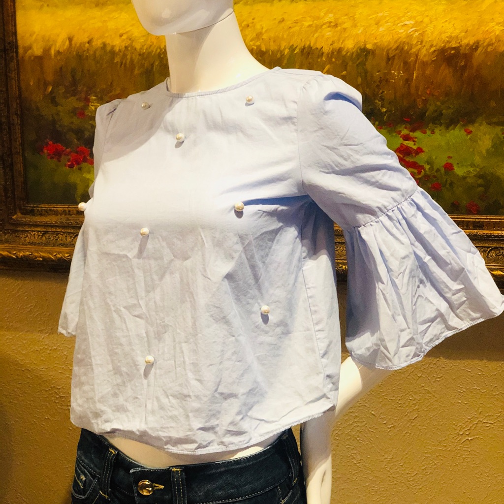 Zara Basic Blouse Top